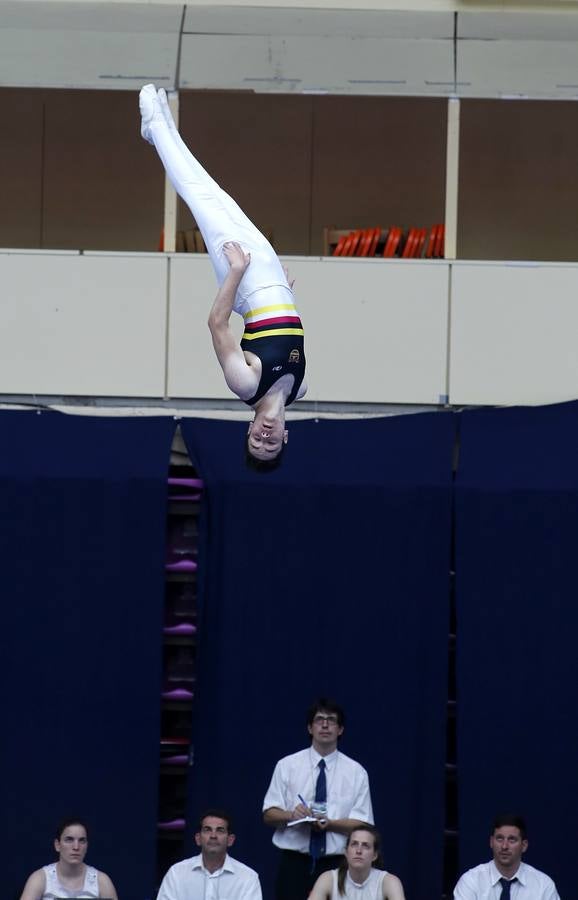 Campeonato de España de Trampolín