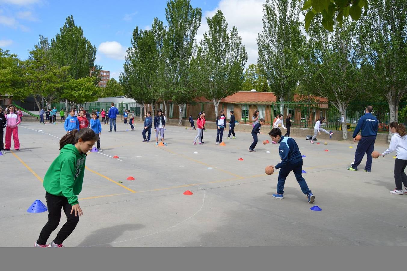 Alumnos del Miguel Delibes practican judo y balonmano con deportistas de élite
