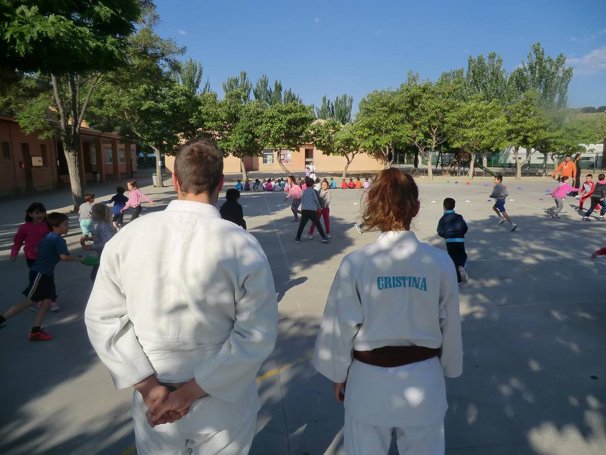 Alumnos del Miguel Delibes practican judo y balonmano con deportistas de élite