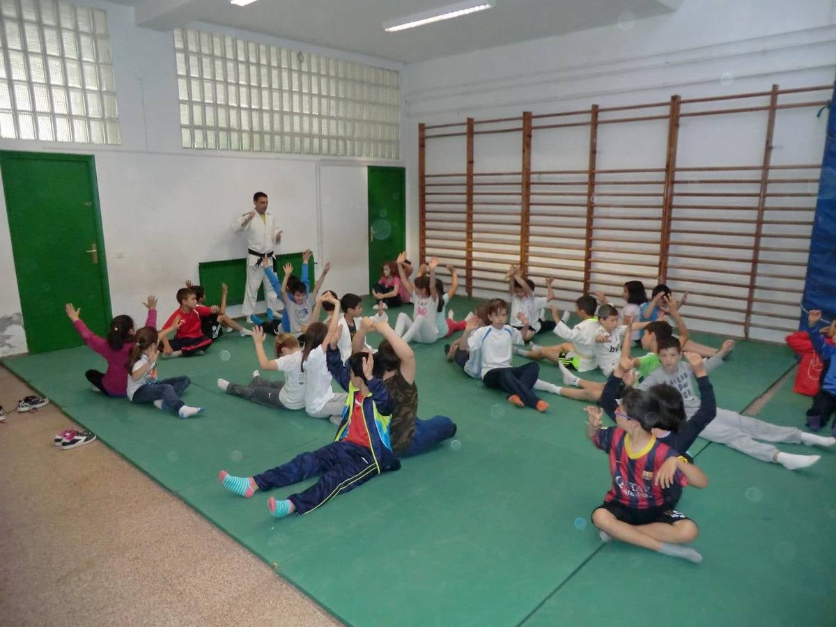 Alumnos del Miguel Delibes practican judo y balonmano con deportistas de élite