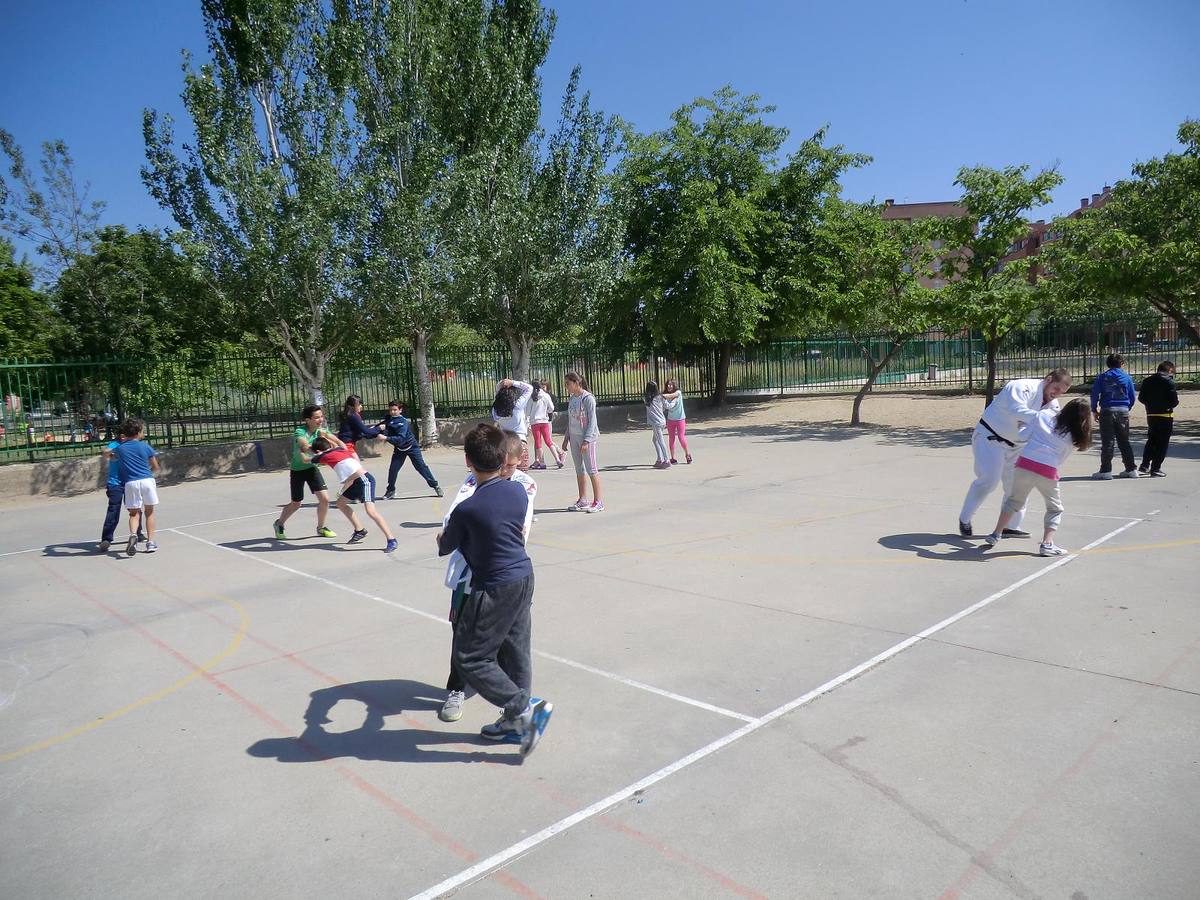 Alumnos del Miguel Delibes practican judo y balonmano con deportistas de élite