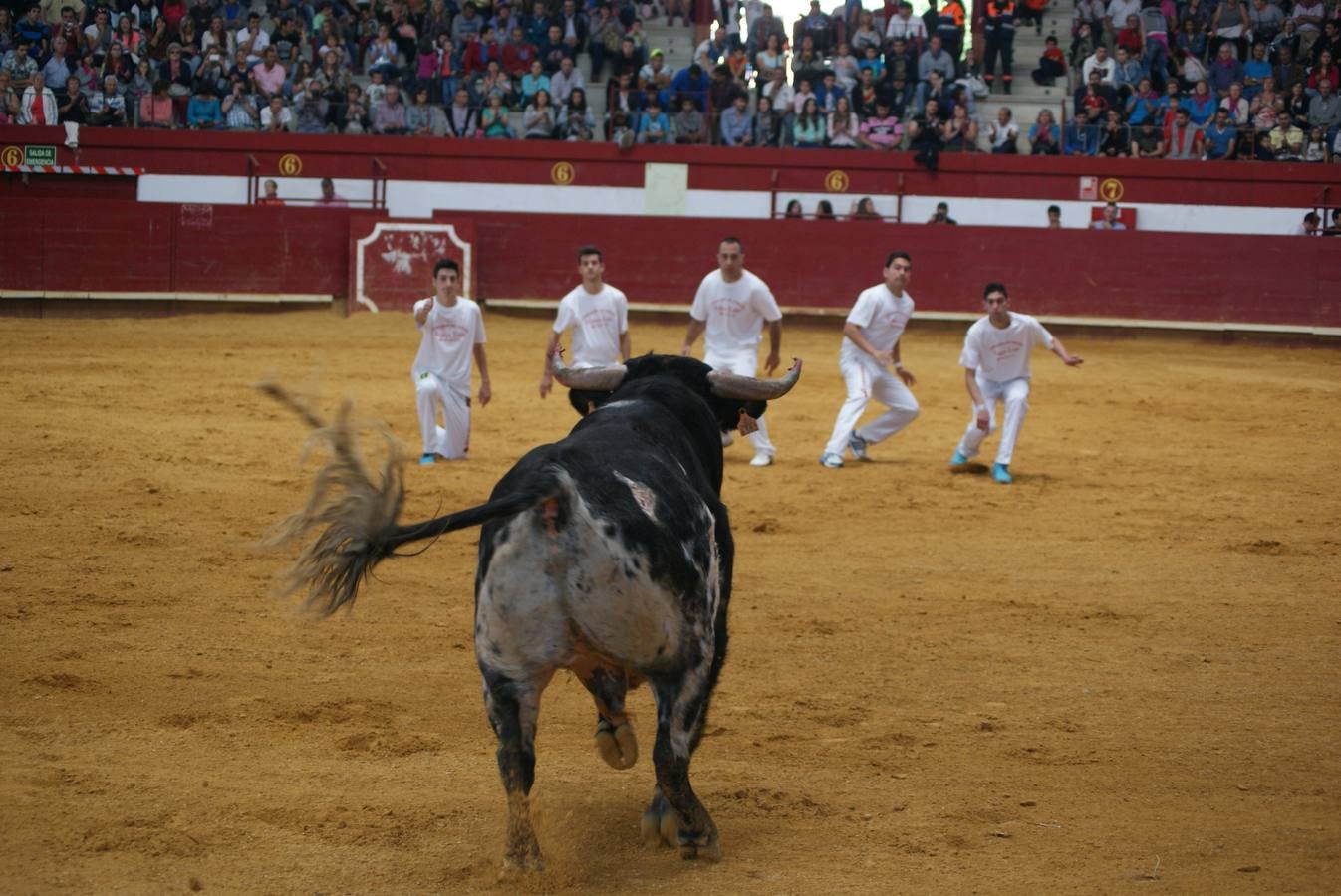 Concurso de Cortes de La Flecha