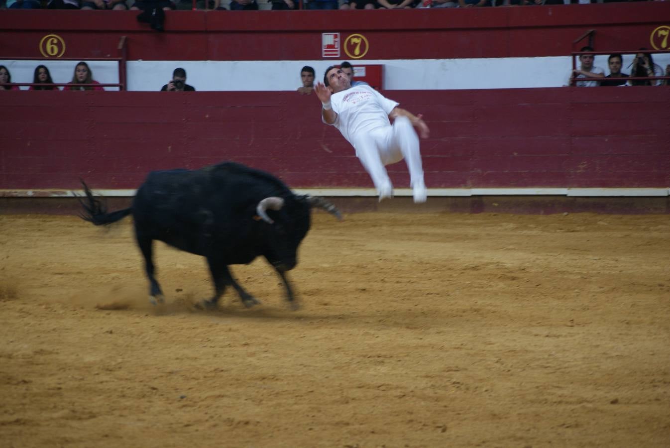 Concurso de Cortes de La Flecha
