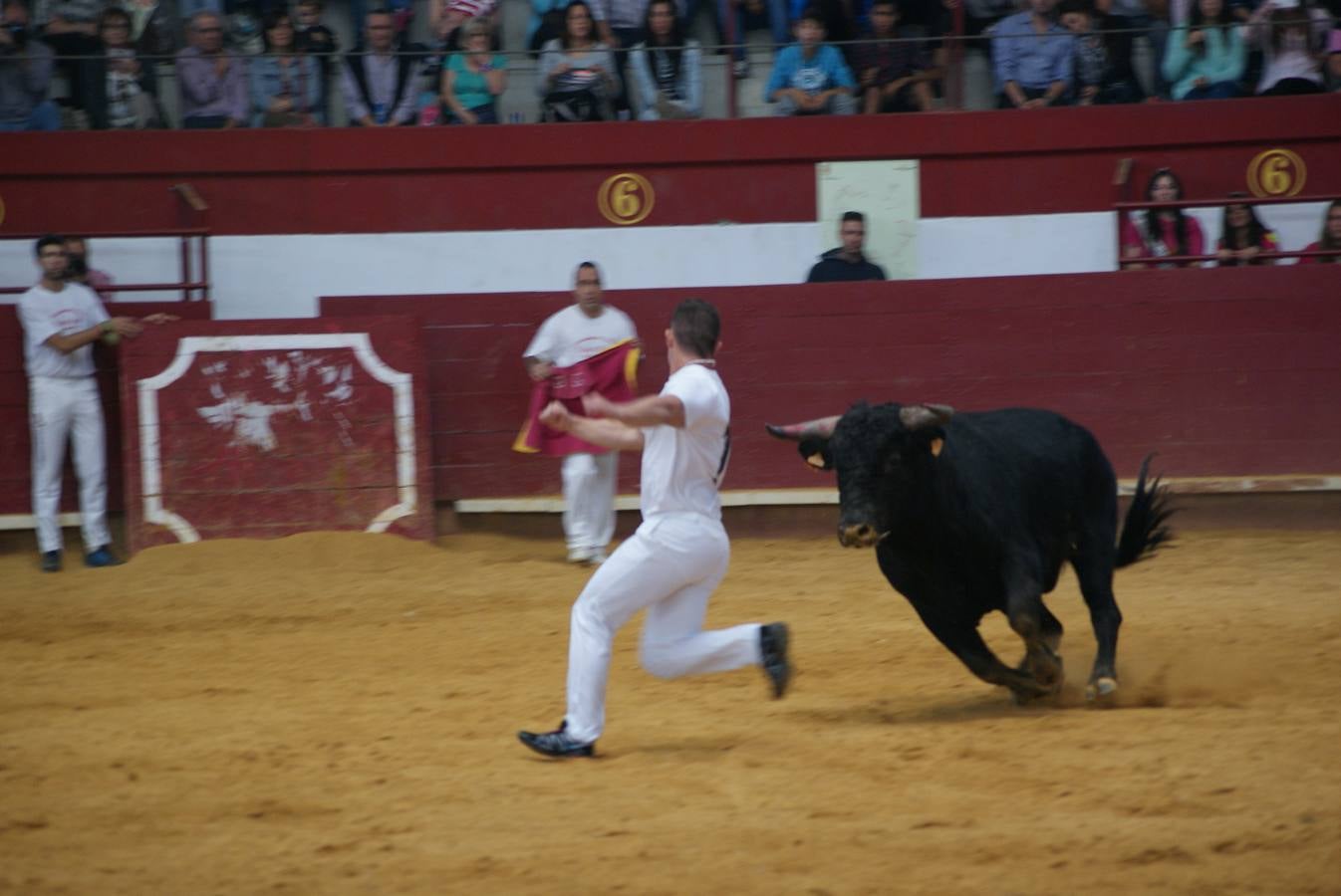 Concurso de Cortes de La Flecha