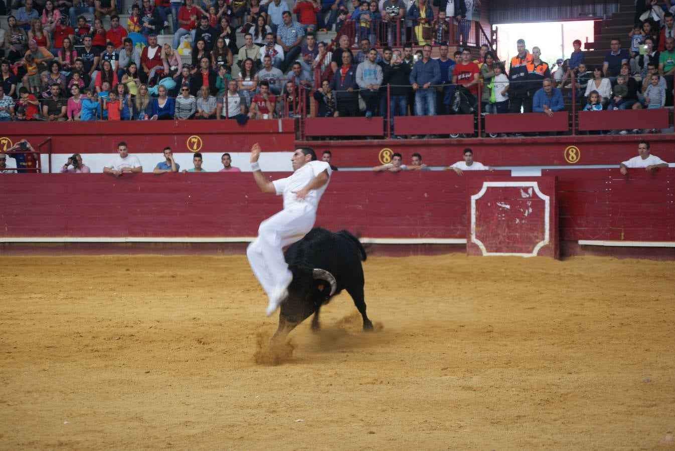 Concurso de Cortes de La Flecha