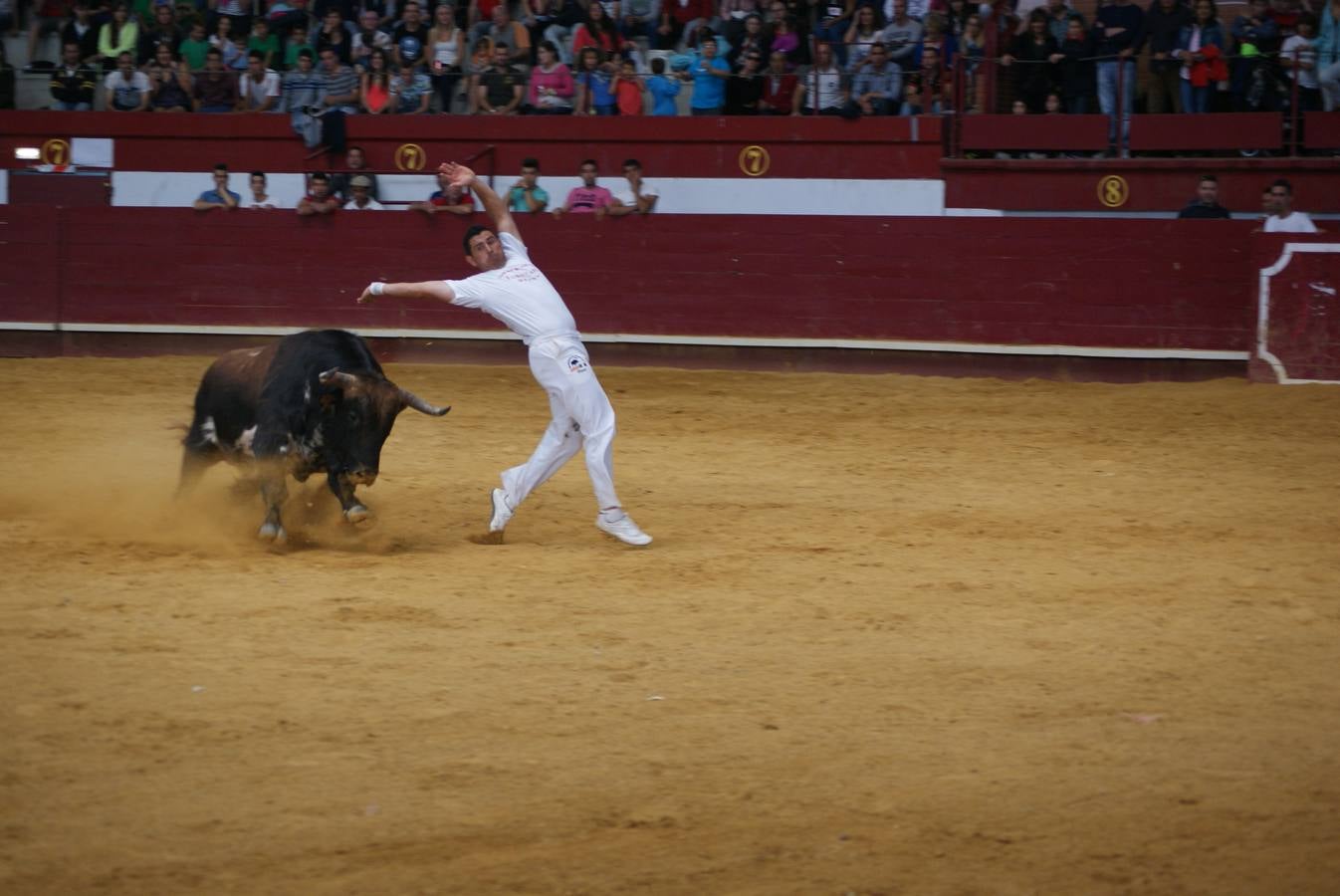 Concurso de Cortes de La Flecha