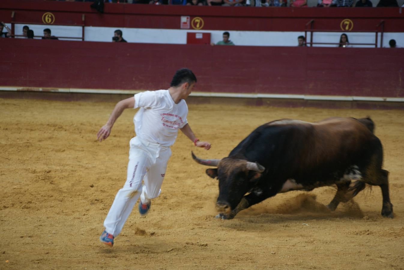 Concurso de Cortes de La Flecha