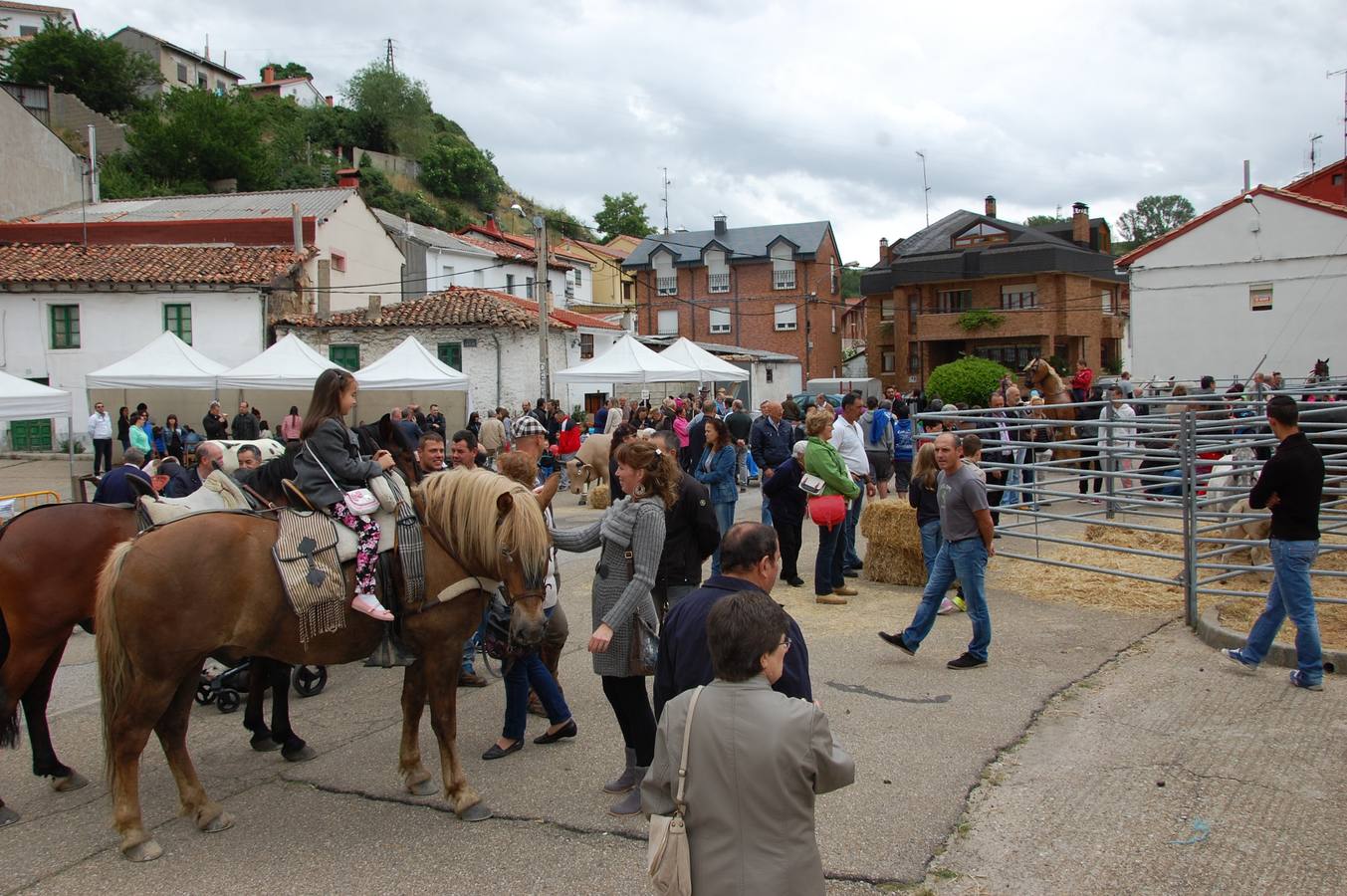 Guardo (Palencia) celebra San Antonio (1/2)