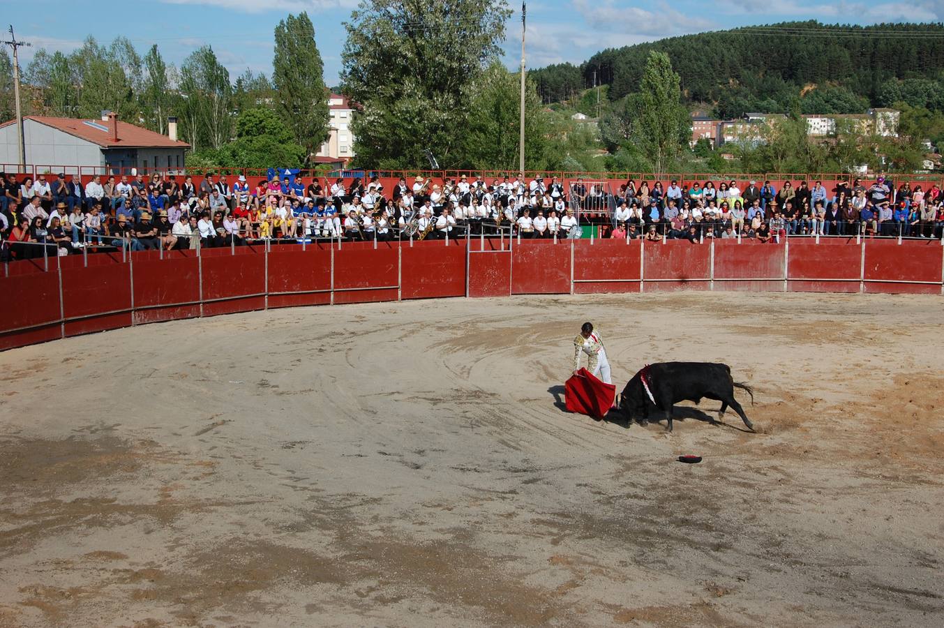 Guardo (Palencia) celebra San Antonio (1/2)