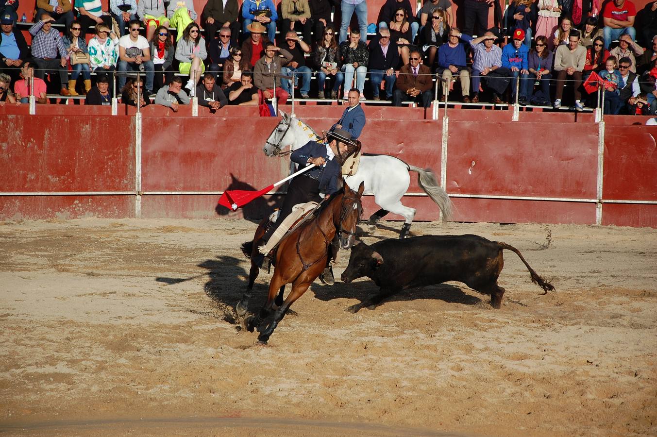Guardo (Palencia) celebra San Antonio (2/2)