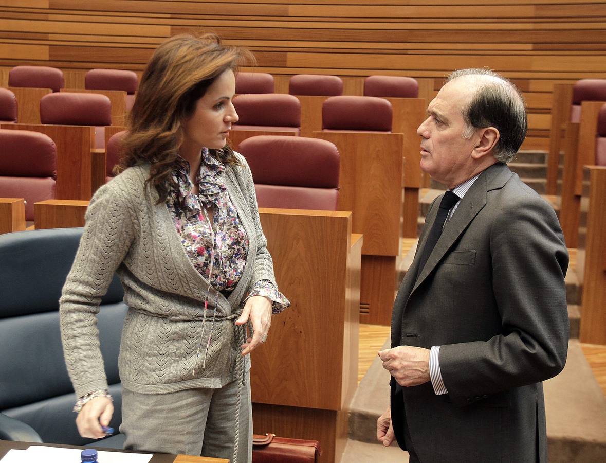 El consejero de Economía y Empleo, Tomás Villanueva, y la consejera de Agricultura y Ganadería de la Junta de Castilla y León, Silvia Clemente, conversan al inicio de una sesión plenaria de las Cortes. 27/02/2012