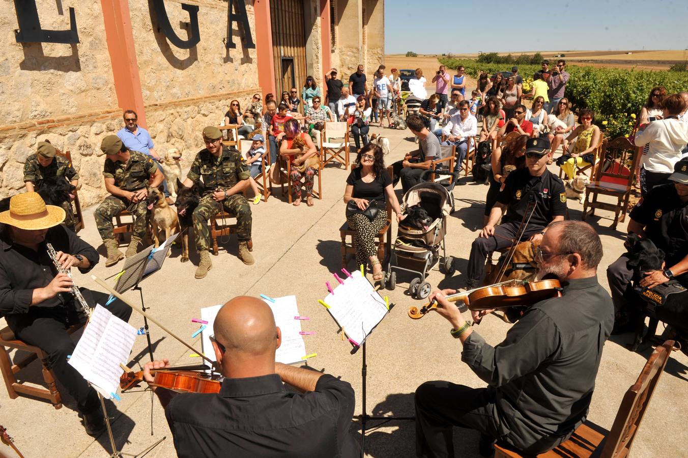 Concierto para perros en &#039;Bodegas Liberalia&#039;