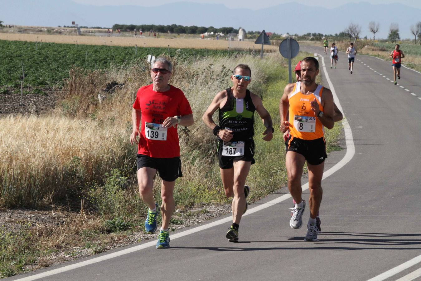 XXXV Media Maratón de Campaspero (Valladolid) (2/2)