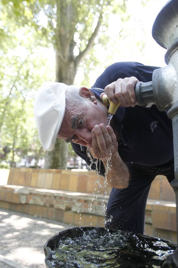 Ola de calor en Palencia