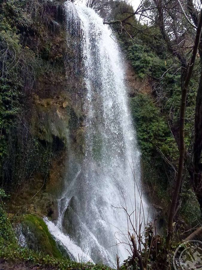 Cascada de la Toba en Fuentetoba (Soria). Todo un prodigio estacionario de la naturaleza a 8 kms. de la ciudad de Soria. Veinte metros de caída libre en la que el nacimiento del río Golmayo estalla visualmente para los viajeros.