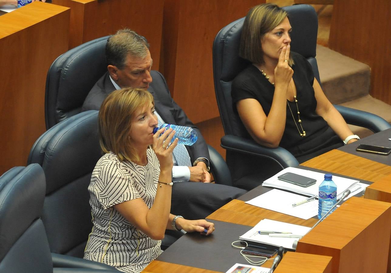 Debate de investidura del candidato a la Presidencia de la Junta de Castilla y León (1)