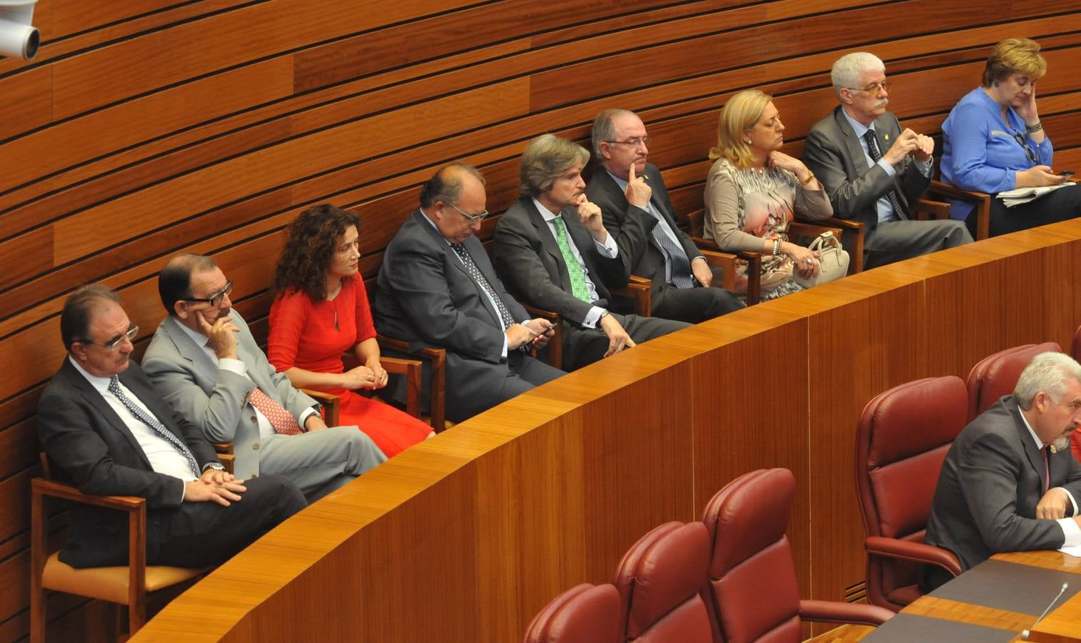 Debate de investidura del candidato a la Presidencia de la Junta de Castilla y León (2)