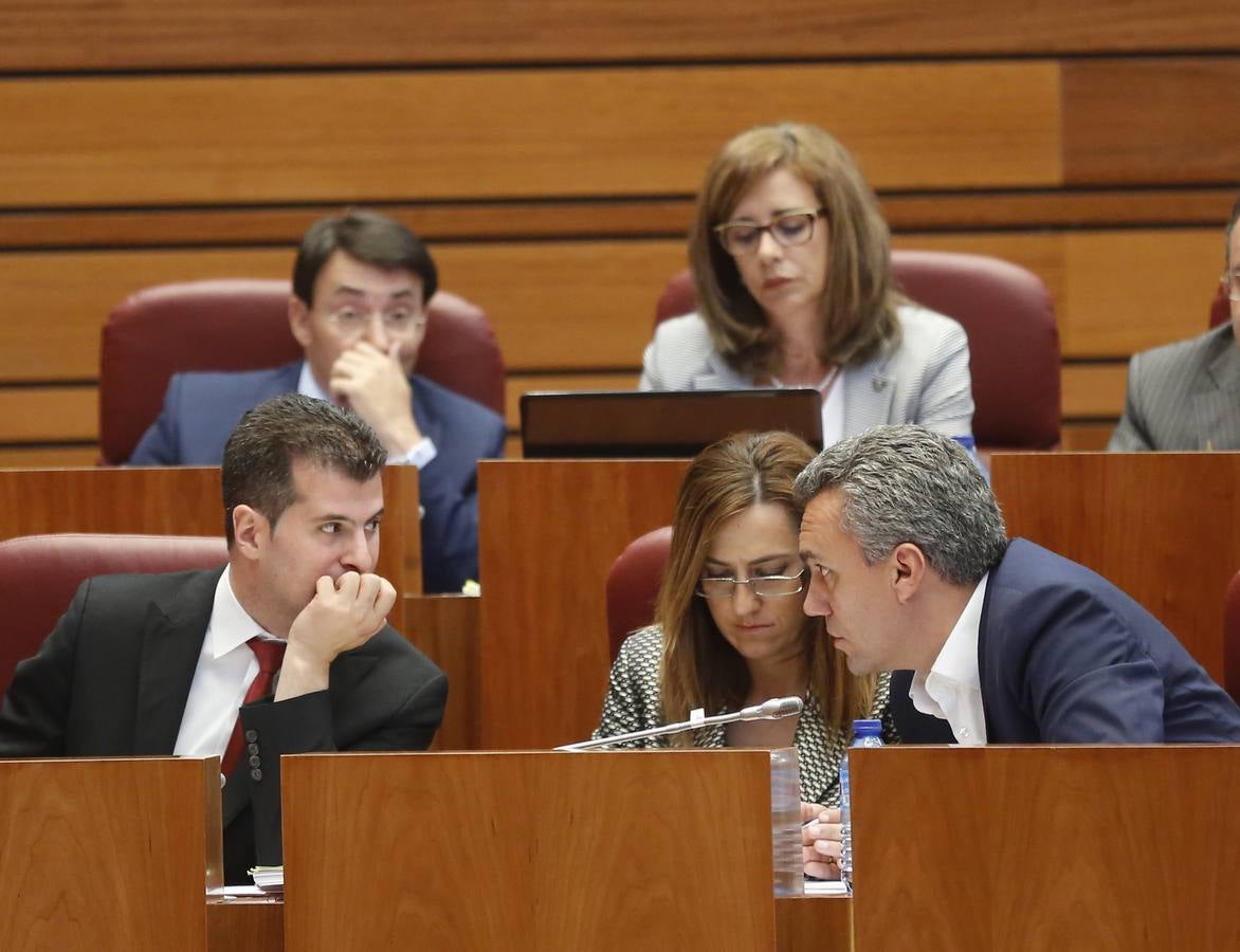 Debate de investidura del candidato a la Presidencia de la Junta de Castilla y León (3)