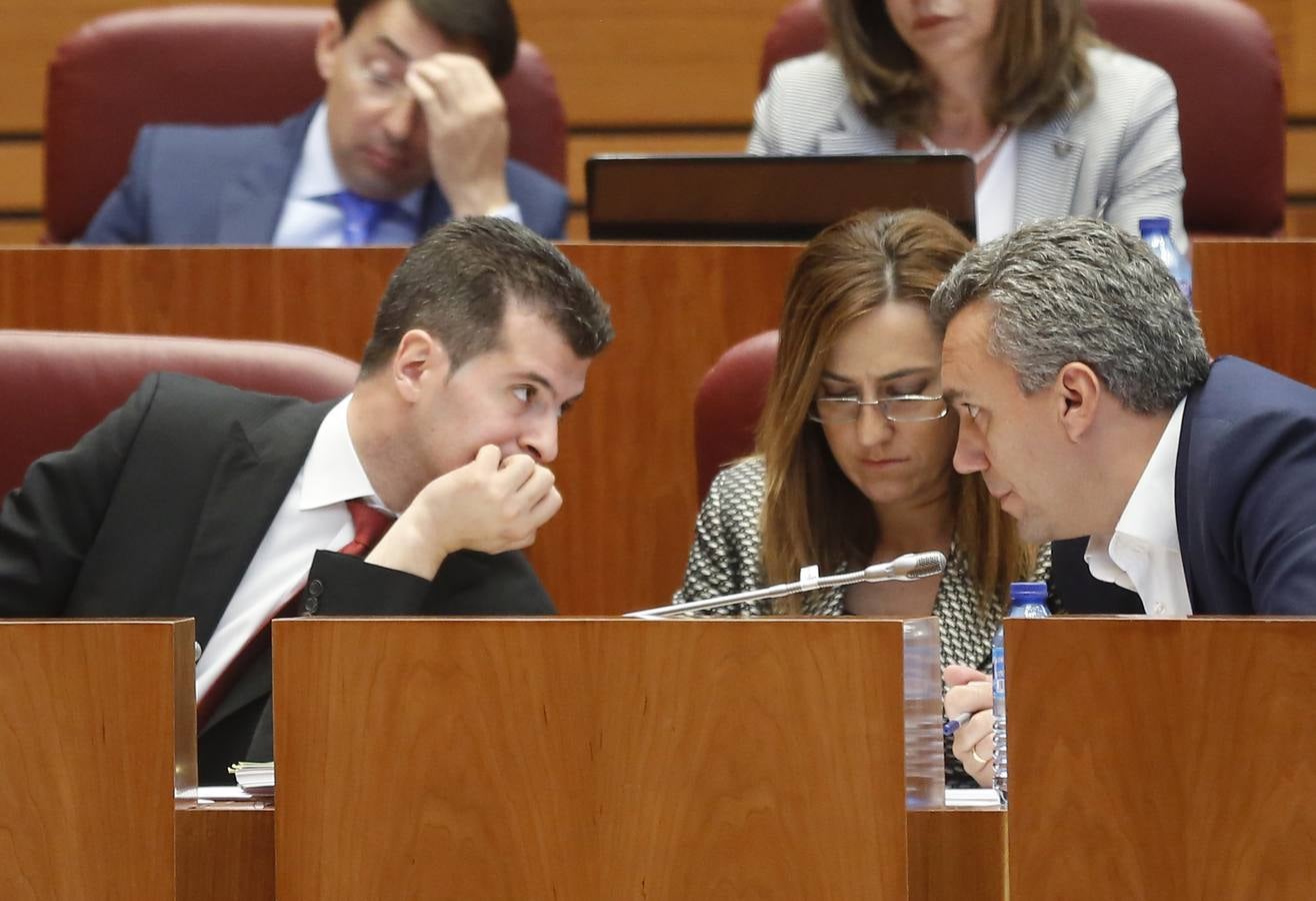 Debate de investidura del candidato a la Presidencia de la Junta de Castilla y León (3)