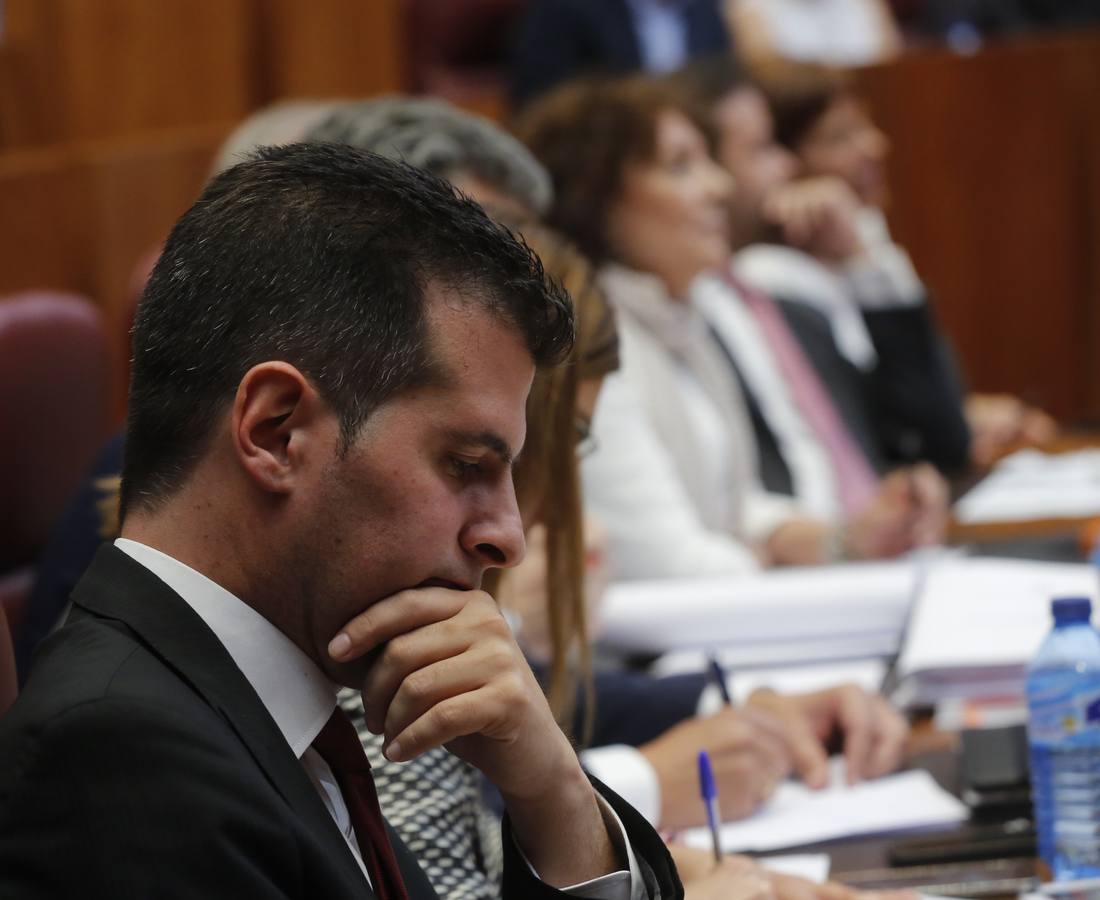 Debate de investidura del candidato a la Presidencia de la Junta de Castilla y León (4)