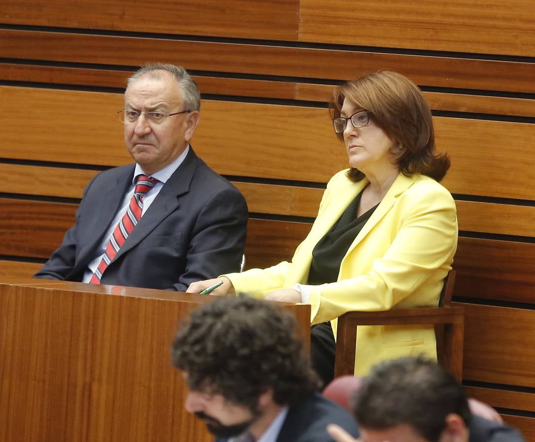 Debate de investidura del candidato a la Presidencia de la Junta de Castilla y León (4)