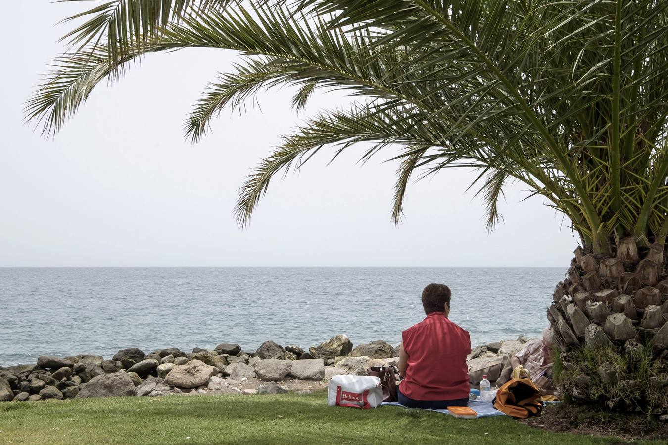 Una mujer se resguarda bajo la sombra de una palmera en el municipio de Mogán, Gran Canaria.