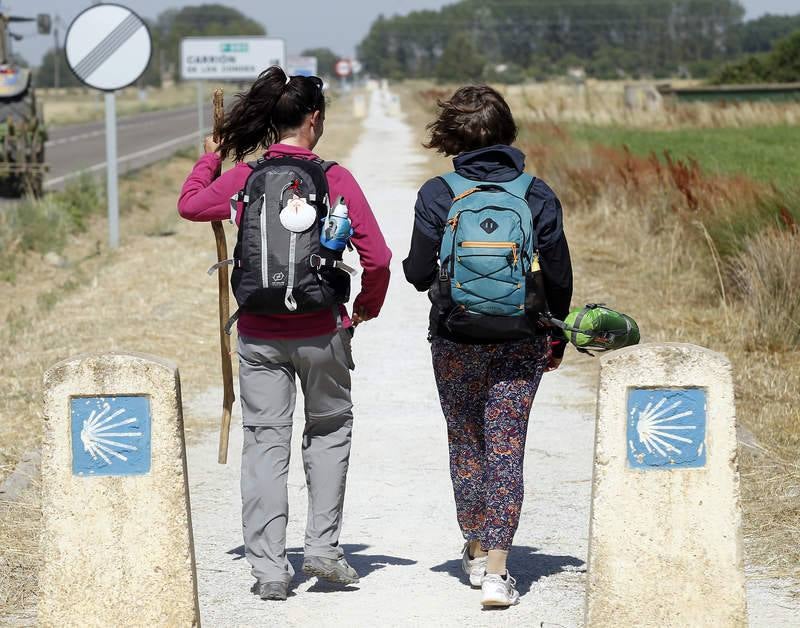 Camino de Santiago a su paso por Palencia
