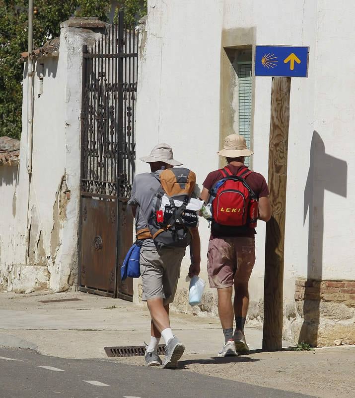 Camino de Santiago a su paso por Palencia