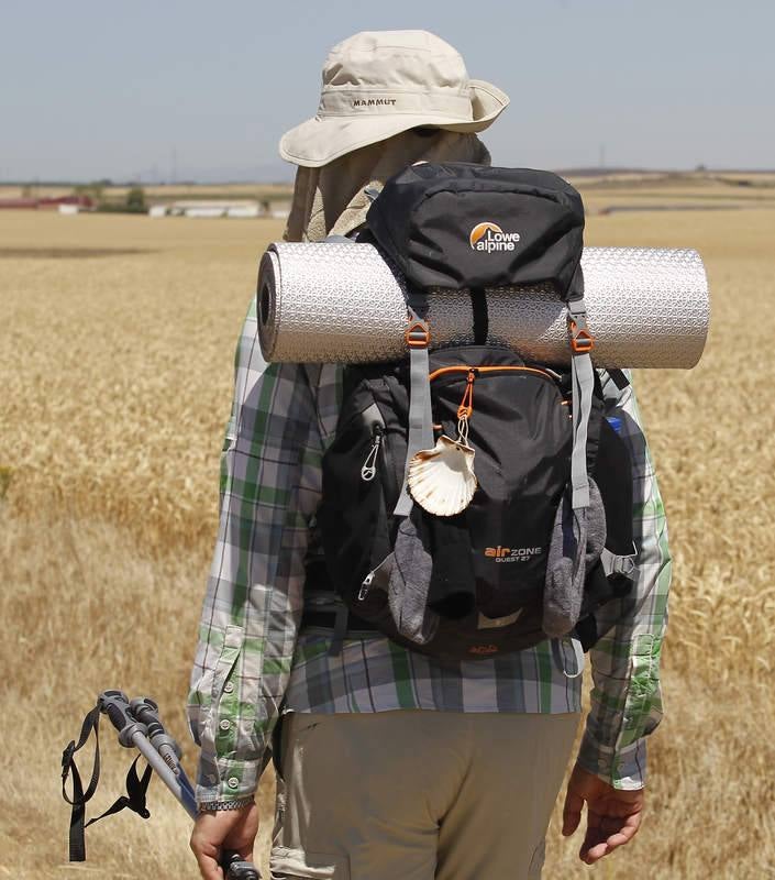 Camino de Santiago a su paso por Palencia