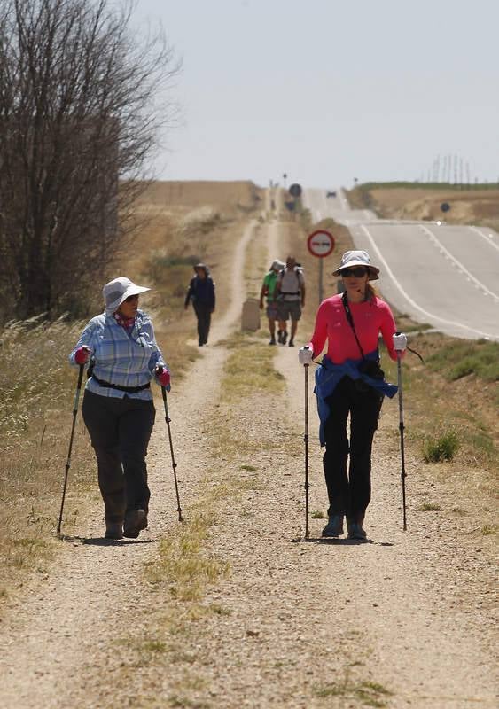 Camino de Santiago a su paso por Palencia