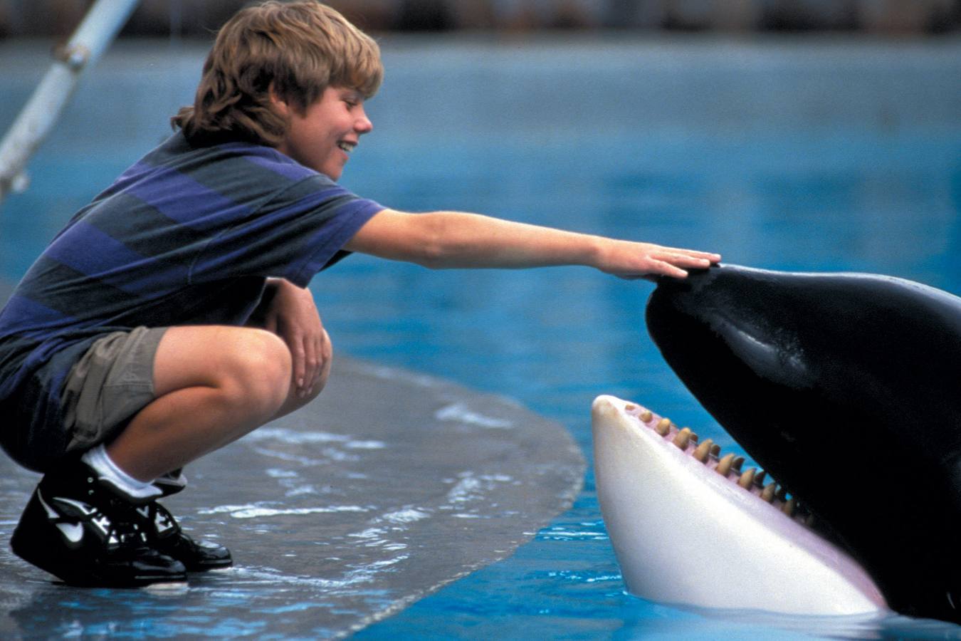 Aunque 'Liberar a Willy' es de los años 90 (de 1993) para ser exactos, la podemos incluir en esta relación de películas 'clásicas' para niños modernos. El nombre en la vida real de esta orca era Keiko, y falleció en diciembre de 2003 debido a una neumonía.