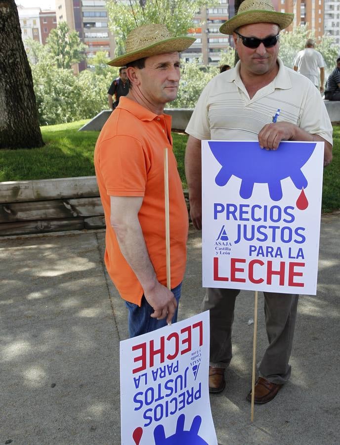 Reparto de leche en la Plaza del Milenio (Valladolid)