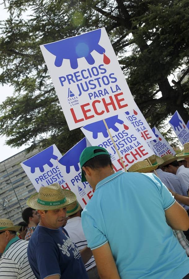 Reparto de leche en la Plaza del Milenio (Valladolid)