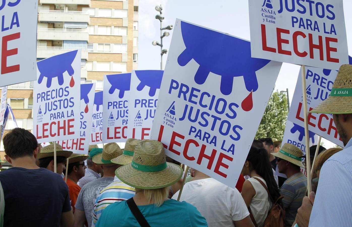 Reparto de leche en la Plaza del Milenio (Valladolid)