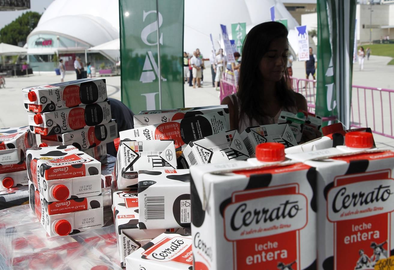 Reparto de leche en la Plaza del Milenio (Valladolid)
