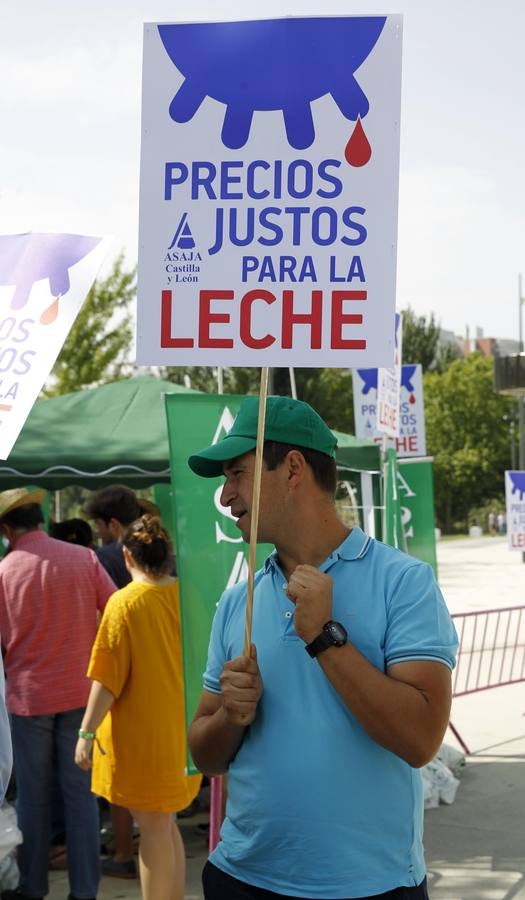 Reparto de leche en la Plaza del Milenio (Valladolid)