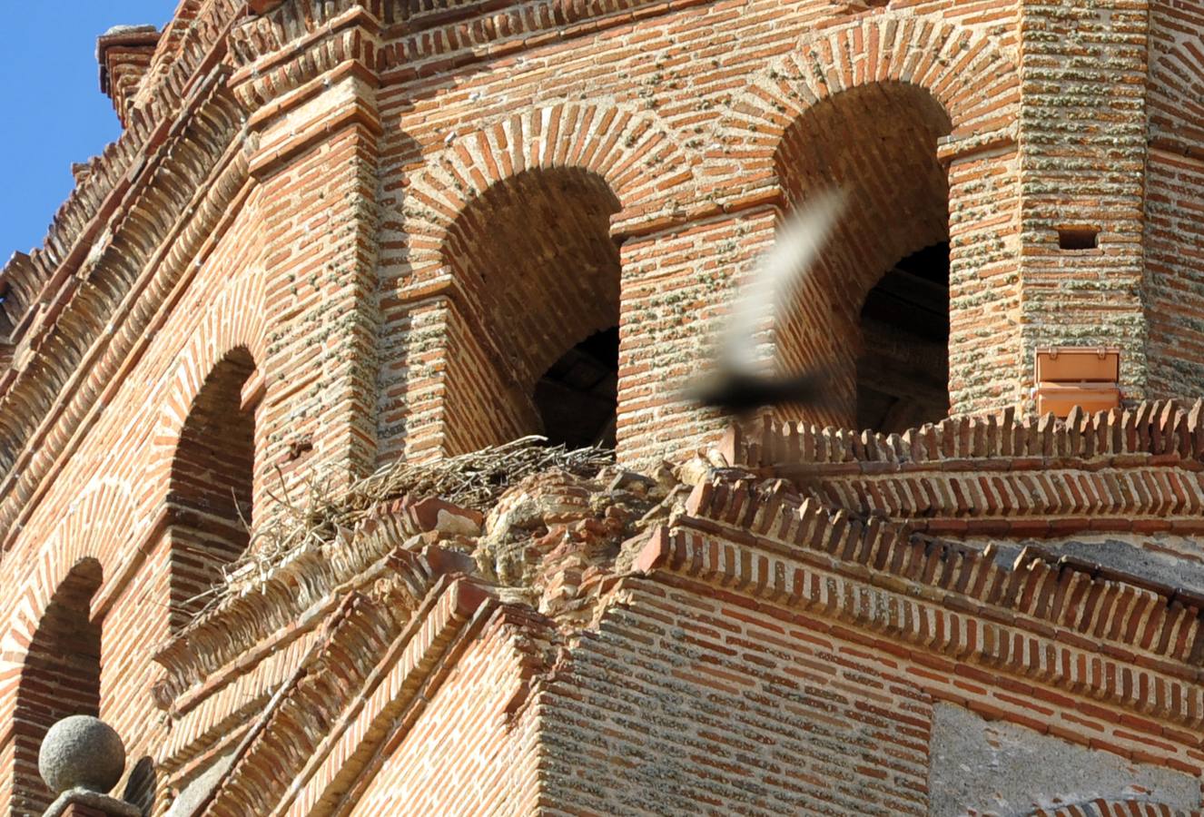 La carcoma se ceba con el artesonado y la torre de la iglesia de Alaejos
