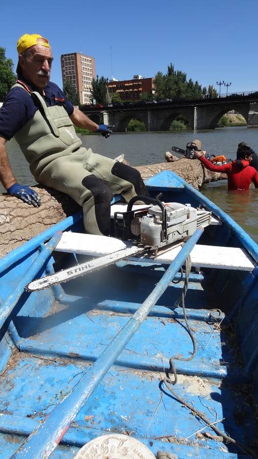 Retiran un tronco de 20 metros de la pesquera del Pisuerga en Valladolid