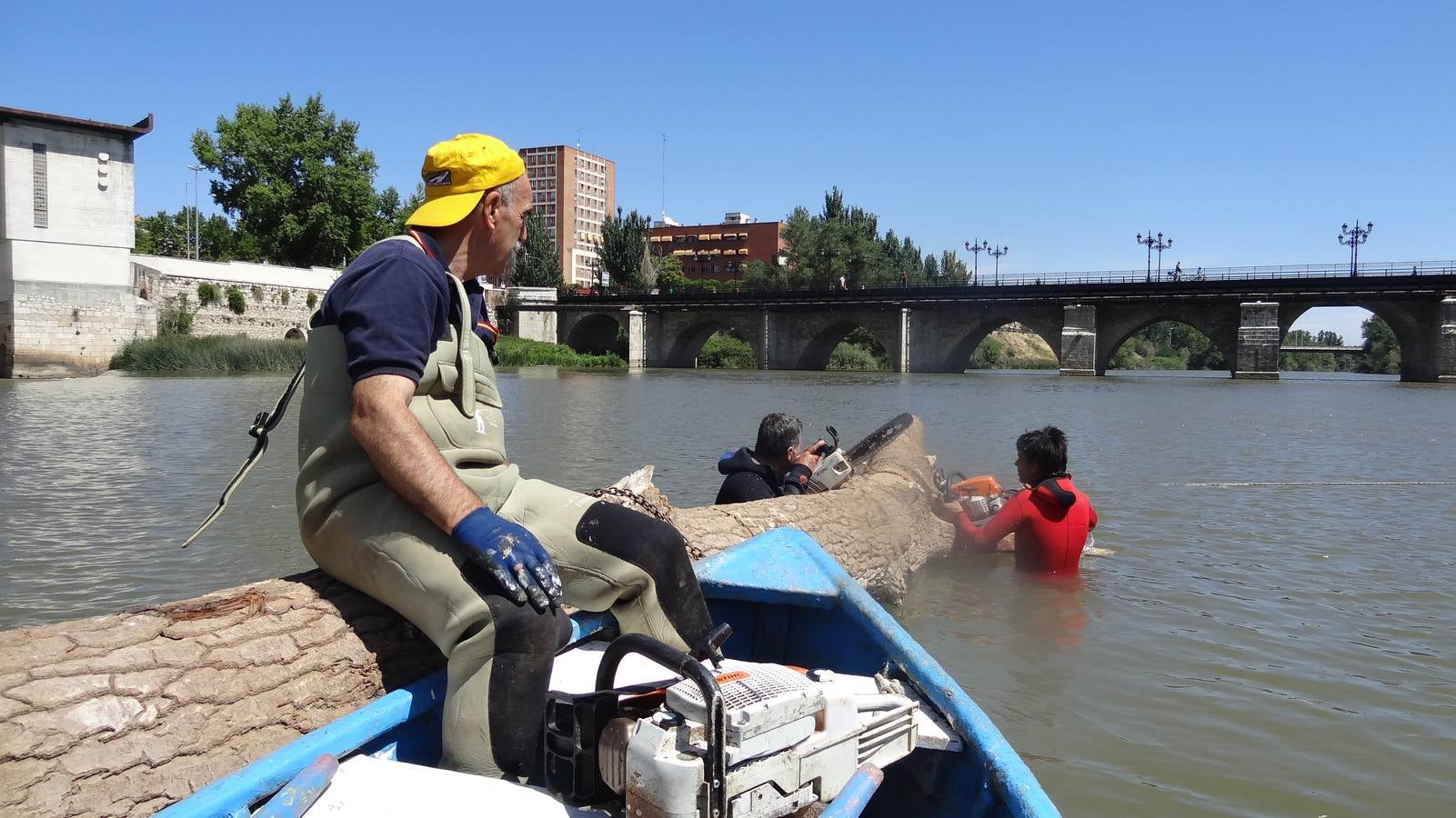Retiran un tronco de 20 metros de la pesquera del Pisuerga en Valladolid