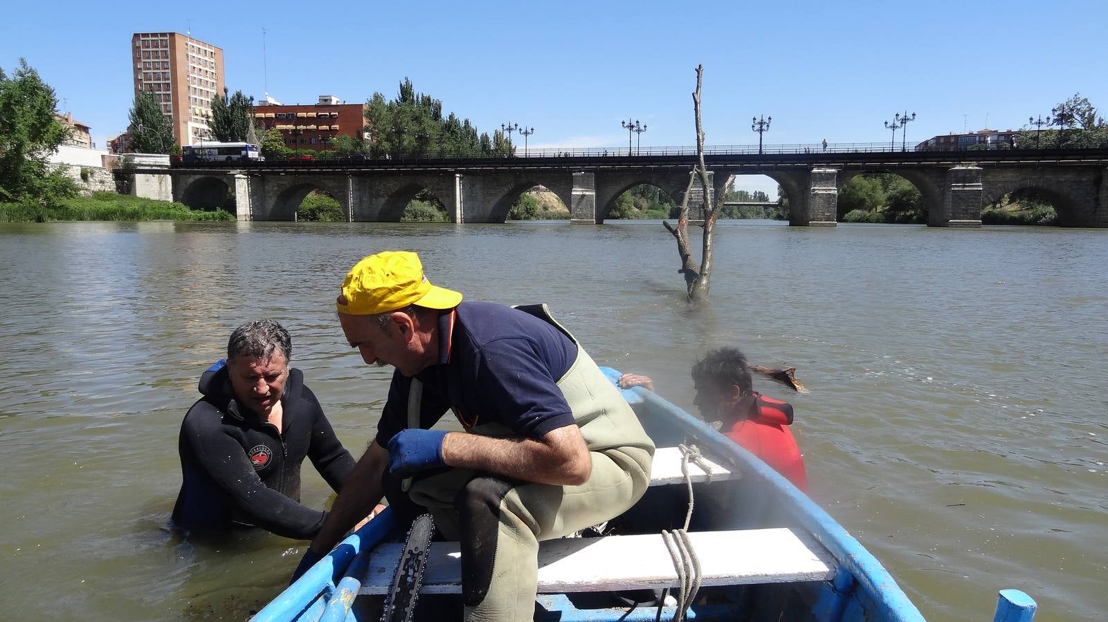 Retiran un tronco de 20 metros de la pesquera del Pisuerga en Valladolid