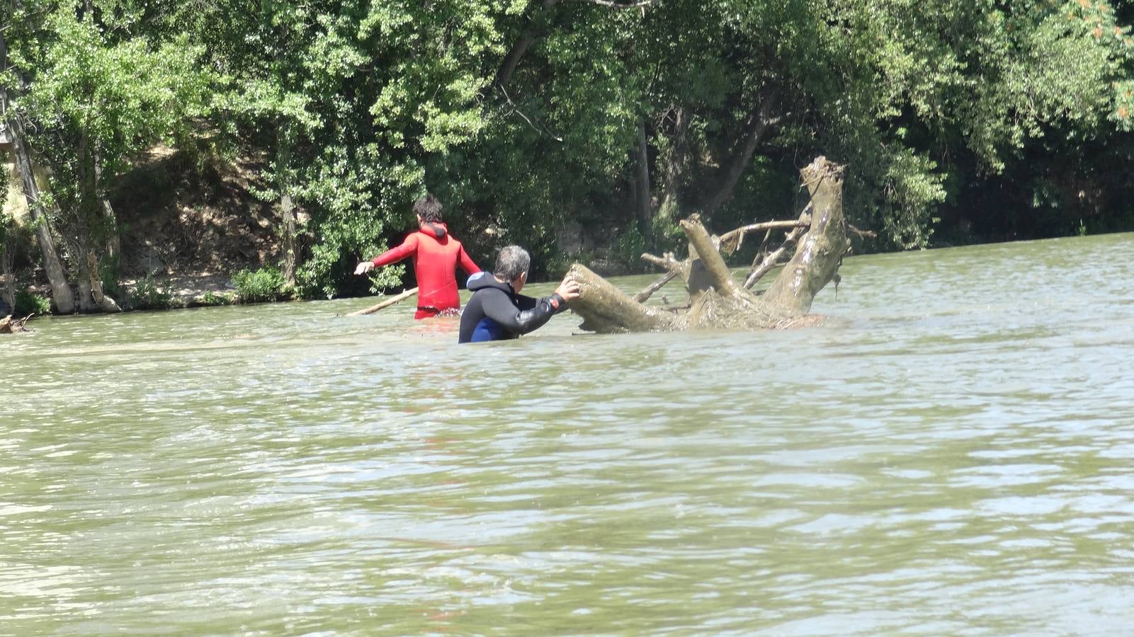 Retiran un tronco de 20 metros de la pesquera del Pisuerga en Valladolid