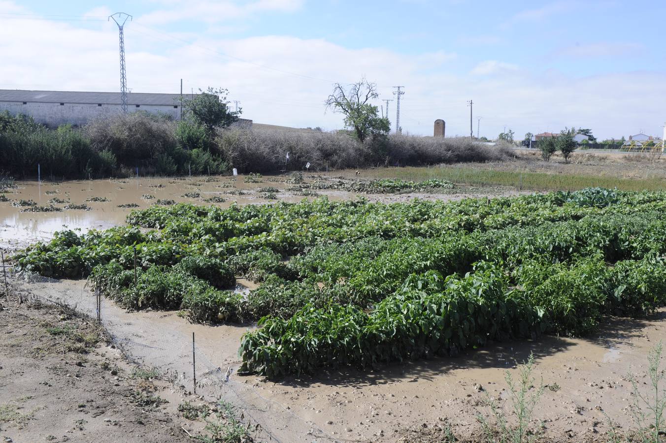 Alaejos sufre los efectos de una fuerte tromba de agua
