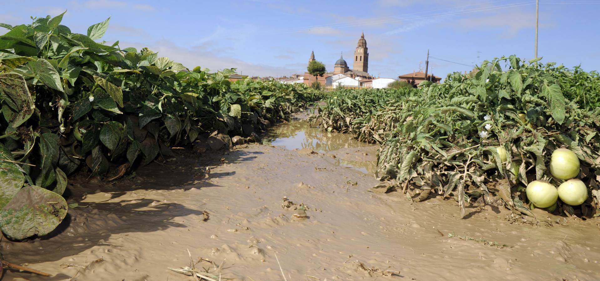 Alaejos sufre los efectos de una fuerte tromba de agua