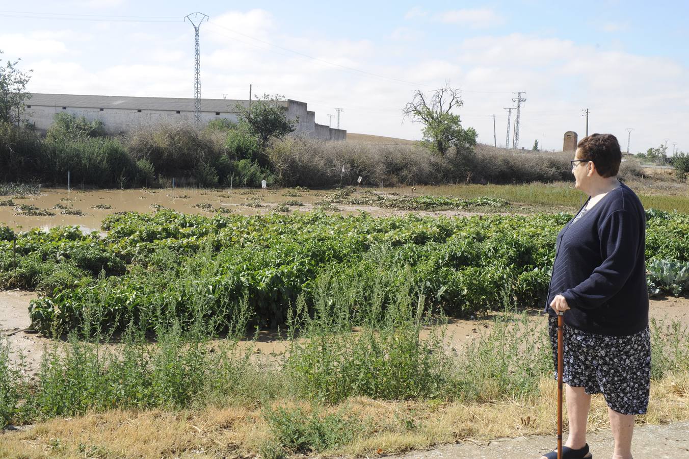 Alaejos sufre los efectos de una fuerte tromba de agua