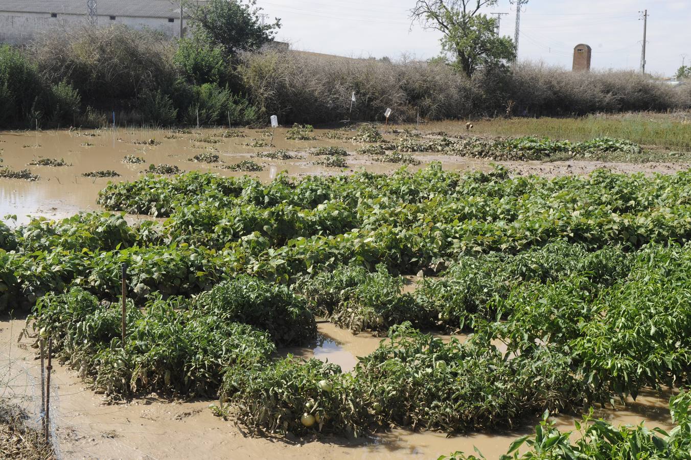 Alaejos sufre los efectos de una fuerte tromba de agua