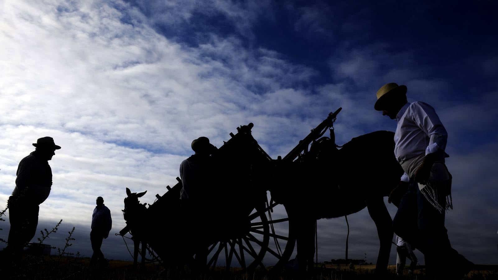 Nava del Rey recrea la siega a mano