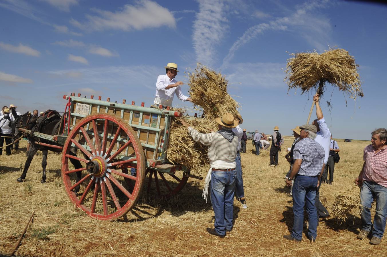 Nava del Rey recrea la siega a mano