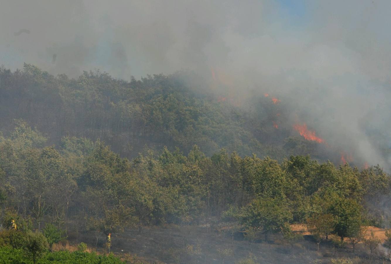 Medios aéreos trabajan en la extinción de un incendio en San Andrés de Montejos