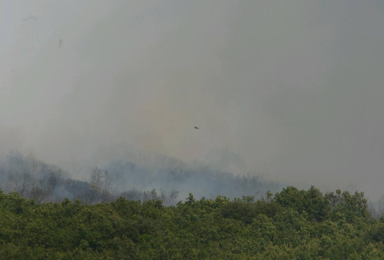 Medios aéreos trabajan en la extinción de un incendio en San Andrés de Montejos