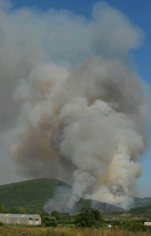 Medios aéreos trabajan en la extinción de un incendio en San Andrés de Montejos